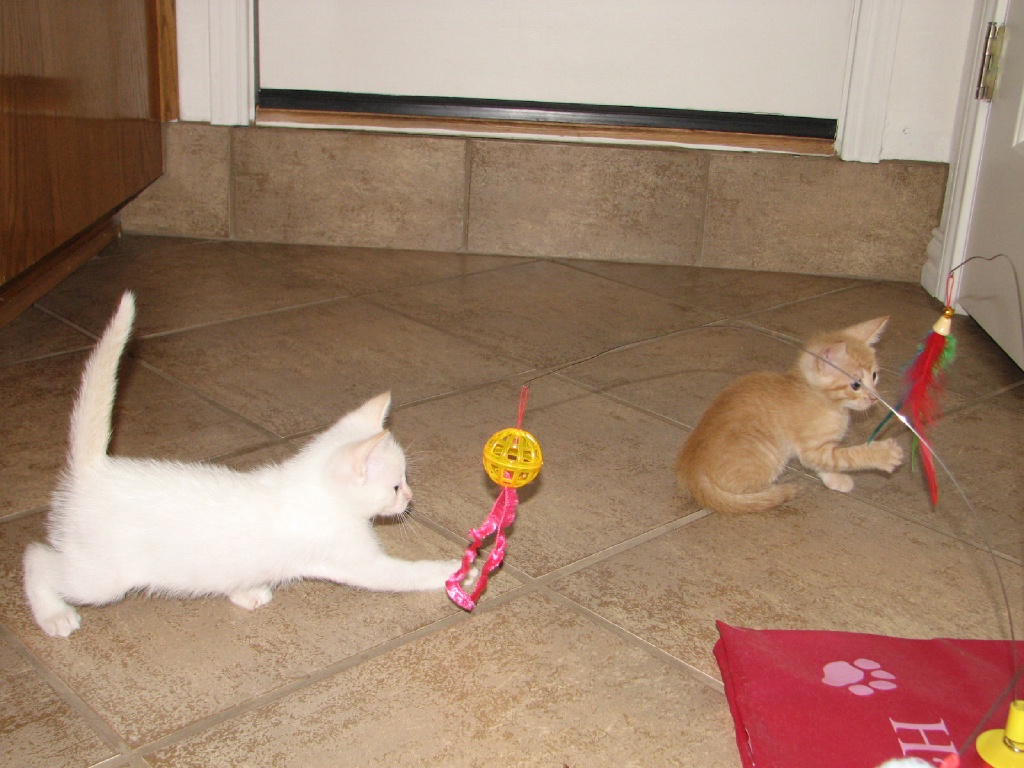 20100206 428.JPG